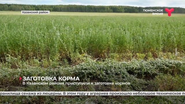 В Казанском районе приступили к заготовке кормов смотреть онлайн