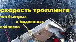 Верховой троллинг Топ быстрых и медленных воблеров