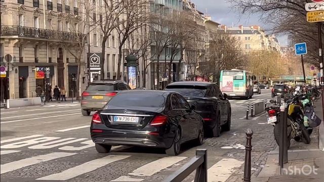 Париж: собачки в башмачках смотреть онлайн