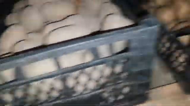 Хранение овощей на зиму в погребе или подвале. Общие правила хранения, температура и влажность смотреть онлайн