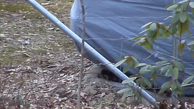 Sony DCR-HC96 MiniDV Handycam Test