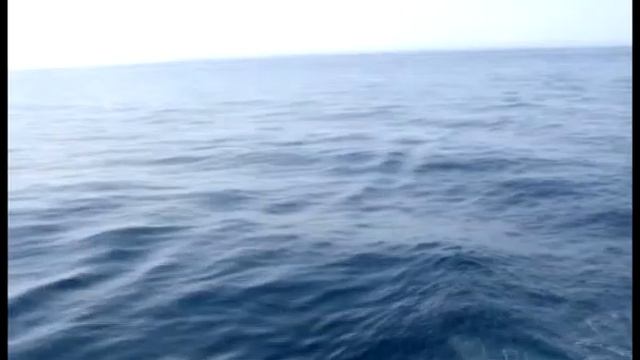 Море такое разное..... (1-я ч.-Тихий океан, 2-я ч. Южно-Китайское море) смотреть онлайн