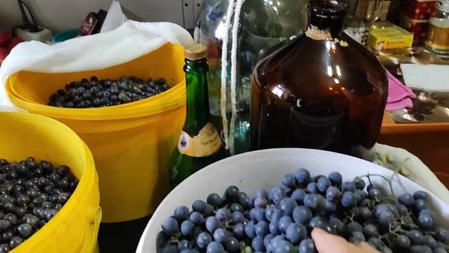 ВИНОГРАД ИЗАБЕЛЛА! ИЗГОТОВЛЕНИЕ ВИНА! Осень 2022! смотреть онлайн