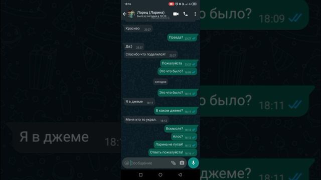 Страшная переписка о пропаже Ларины???#Whatsmok#ужасы#переписки# смотреть онлайн