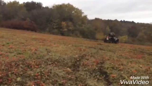 Steals Leonard на прогулке смотреть онлайн