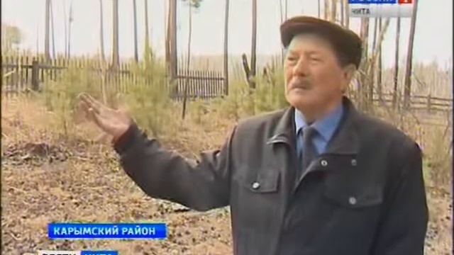 Стела в Олентуе смотреть онлайн