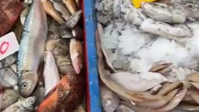 سعر السمك اليوم في الجزائر \سوق السمك اليوم، مسمكة خوخة ميناء زموري смотреть онлайн