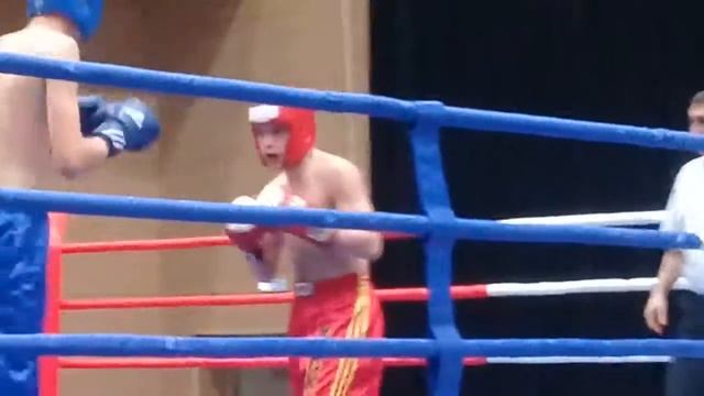 Михаил Мартынов ЦФО по Кикбоксингу смотреть онлайн