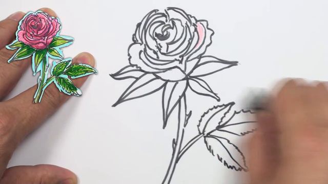 How to Draw a Rose - Simple Red Rose Drawing Lesson | MAT смотреть онлайн