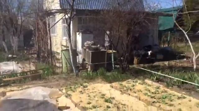 Строительство бани из рубленного бревна в Набережных Челнах СК "Яхшы Дом" смотреть онлайн