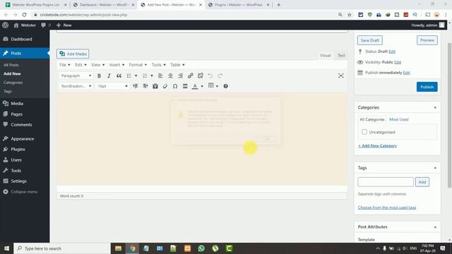 How to use TinyMCE Advanced WordPress Plugin | Easy & Simple | Webster смотреть онлайн