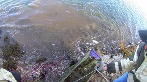 Ловим  раков!!! Снасть для быстрой ловли!!!