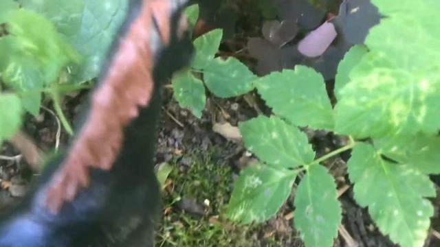 Страшный сон 4 смотреть онлайн