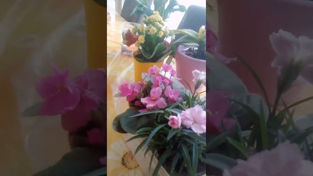 не можете освободиться от страстей слушайте молитвы Иисаака Сирина в ютубе смотреть онлайн