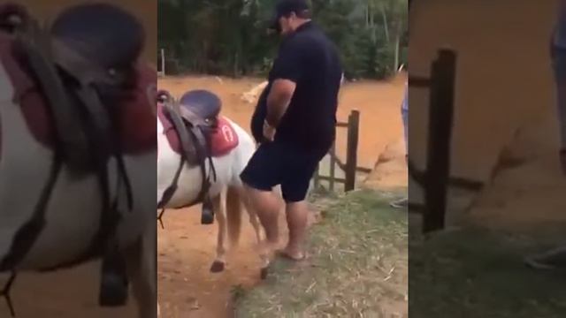 Чеченец на лошади смотреть онлайн