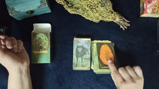 Карты таро Forest of Enchantment, Mermaid tarot версия с Алиэкспресс, распаковка обзор. смотреть онлайн