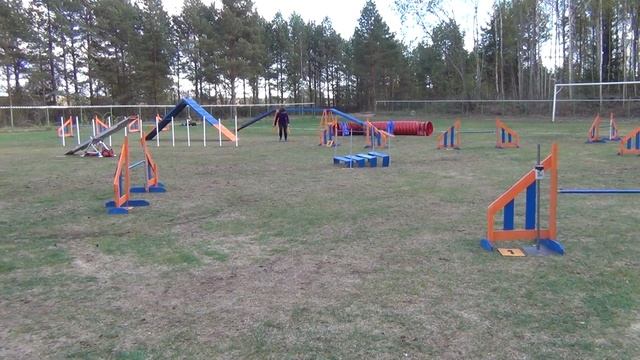 4.05.2014, Пярну (Эстония). OPEN аджилити смотреть онлайн