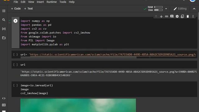 #pythonimg #Rlanguagestatistics Image Processing Python Libraries Used in Machine Learning|Hindi| смотреть онлайн