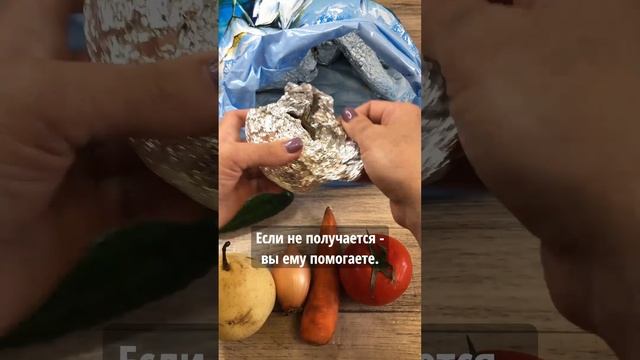 Развивающая игра для детей 