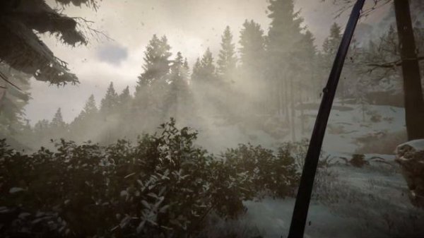 Sons Of The Forest - Horror, Survival, Fun!