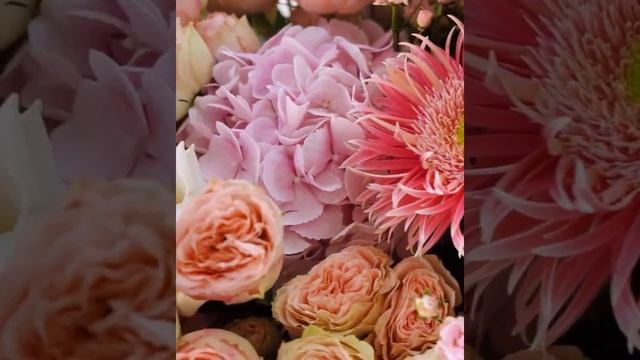 Mesmerize смотреть онлайн