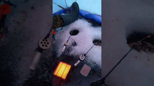 Рыбалка на карася 2022-2023 год #карасьнаудочку #карасьзимой #рыбалка #окуньнамормышку смотреть онлайн