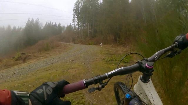 New Goose Chase Reroute - Tokul East MTB смотреть онлайн