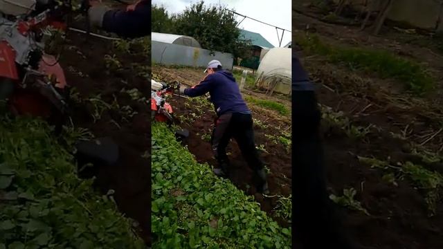 Мотоблок Угра вспашка смотреть онлайн