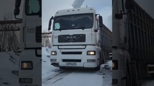 Арабский горн с мелодией акуленок