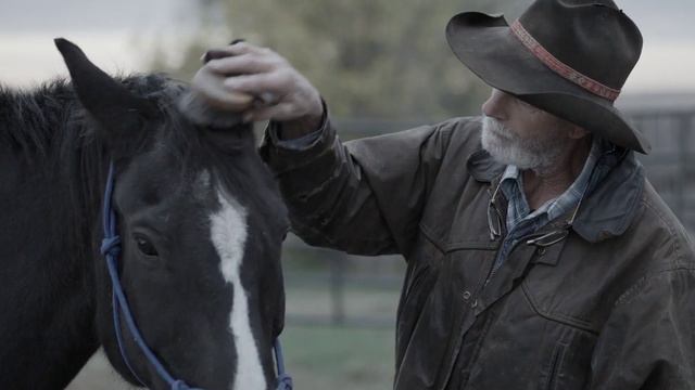 Лошади Фрэнка. смотреть онлайн