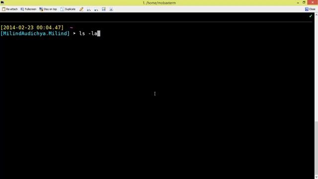 Unix Hindi Tutorial Series Video 7 : How to use ls command of unix. смотреть онлайн