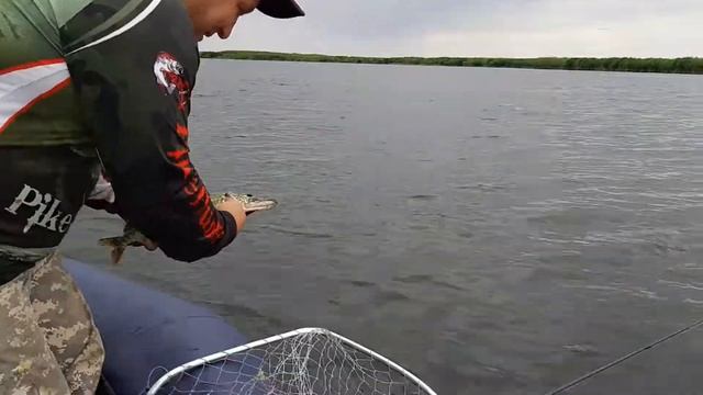 Дадынское озеро. 2019г. смотреть онлайн