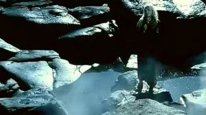 Белой птицей я прилечу к тебе даже на край земли