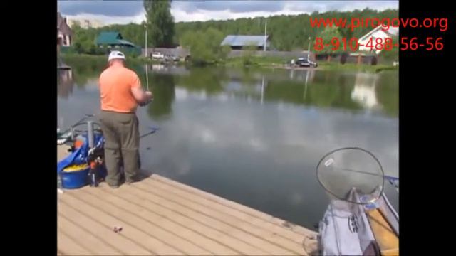 Платная рыбалка смотреть онлайн