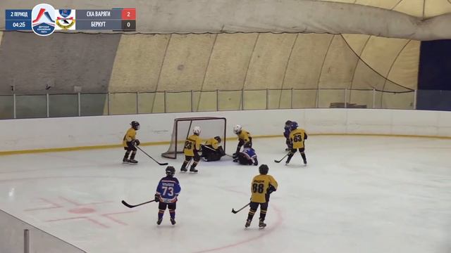 СКА Варяги 2014 - Беркут 2014 / Детская Хоккейная Лига смотреть онлайн
