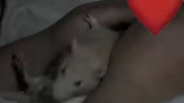 Мои пончики--муж и крыска смотреть онлайн