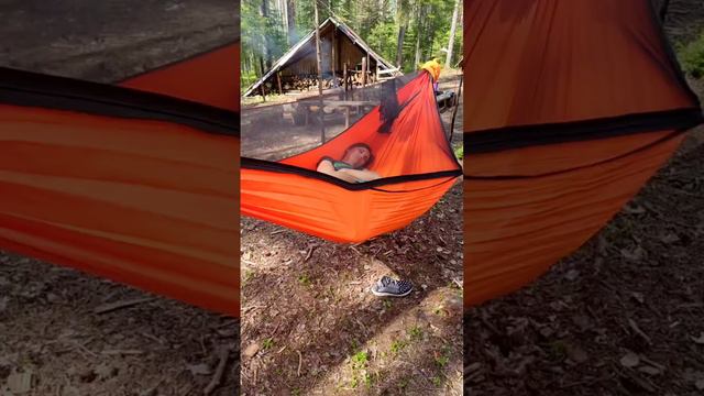 Самка гамачника обыкновенного =) смотреть онлайн