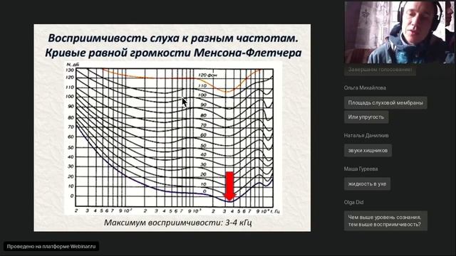 Звуковая радуга и особенности распознавания звуков человеком смотреть онлайн