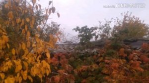 Малиновое дерево Сказка, Крпыш.