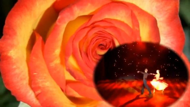 Пассадобль с розами смотреть онлайн