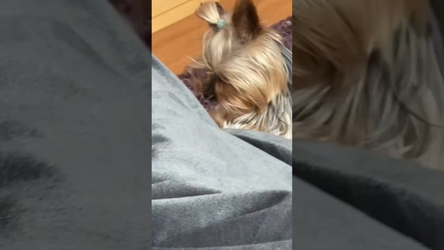 Год как Роки нет с нами .