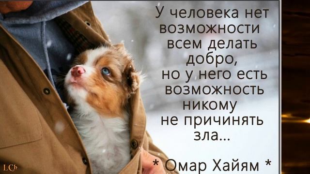 Доброта! Цитаты о доброте с красивой музыкой и картинкам смотреть онлайн