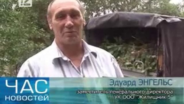 Опасное растение паразит облюбовало один из омских дворов смотреть онлайн