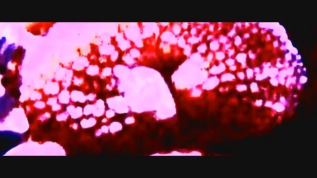 Moving Art no.6 смотреть онлайн