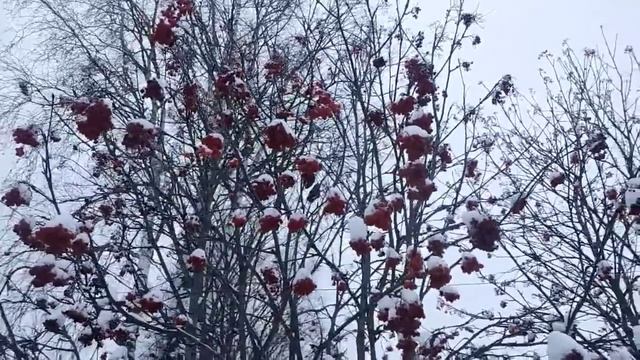 НОВОСТЬ ДНЯ!!! //Колесниковы снова переезжают! // Обзор видео// смотреть онлайн