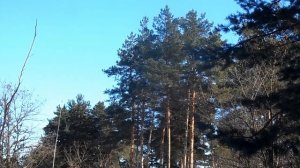 9 марта праздник Обретение Главы Иоанна Предтечи.Что можно и нельзя делать.Народные приметы и обыча