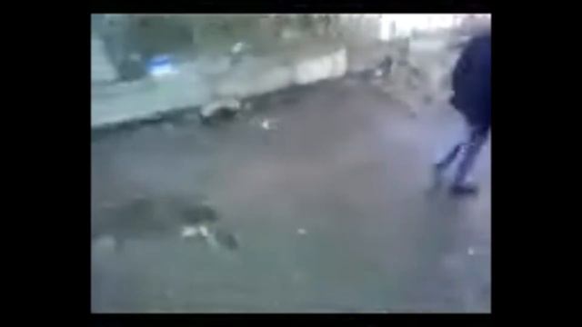 Дэнчик слазит! Улучшенное видео. смотреть онлайн
