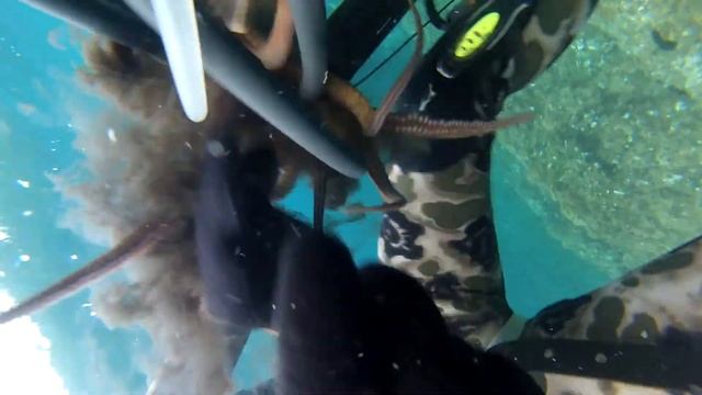 Пульпа (А.Васильев) смотреть онлайн