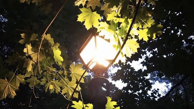 А.Грин "Зелёная лампа" смотреть онлайн