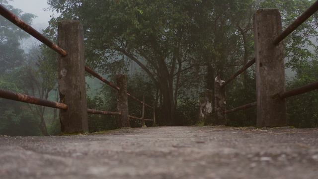 Это упражнение сделает Вас умнее смотреть онлайн